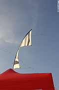 EUROCUP STACK 2011 CERVIA00127